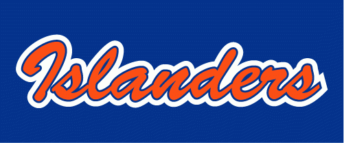 New York Islanders 2008-2017 Wordmark Logo iron on transfers for T-shirts